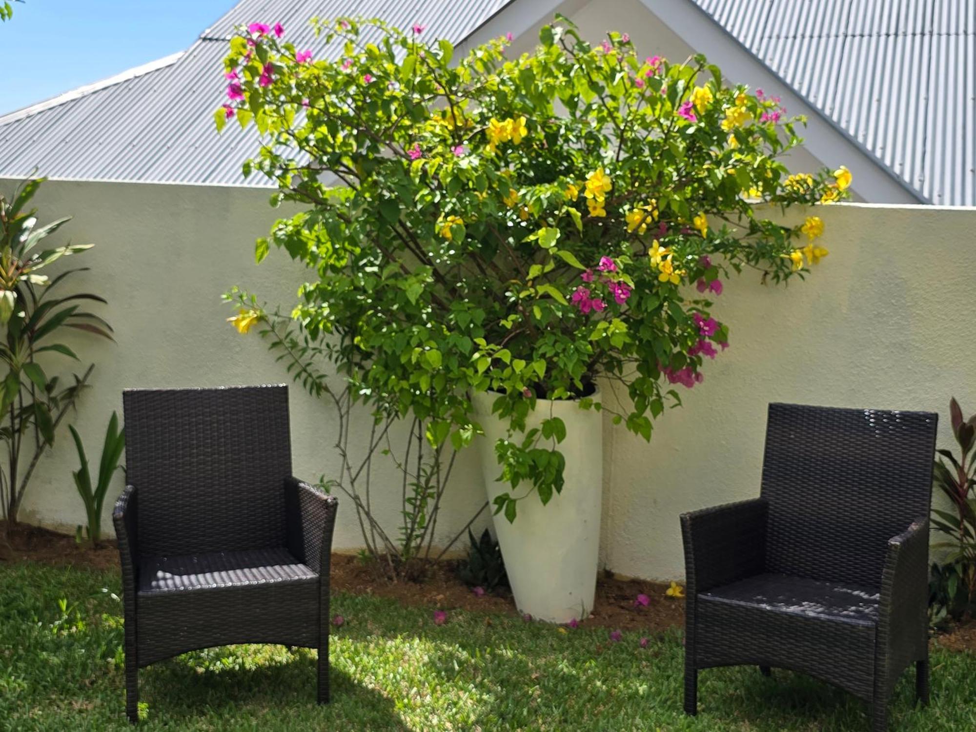 Au Cap Emma'S Guest House And Self-Catering מראה חיצוני תמונה